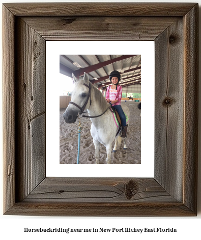 horseback riding near me in New Port Richey East, Florida